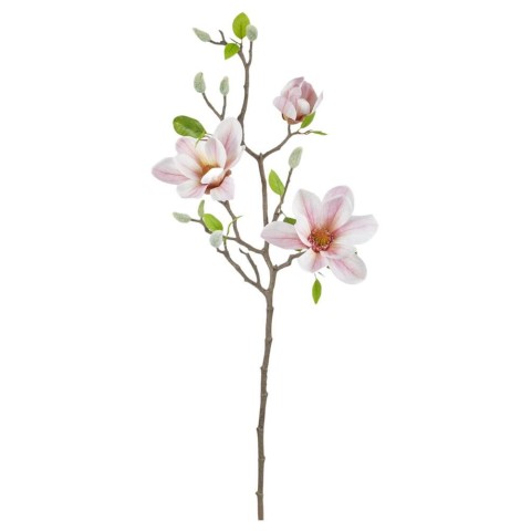 TRALCIO MAGNOLIE PINK H75